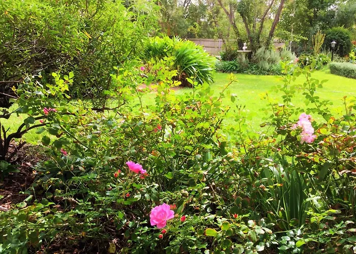 Bindley House B&B Cottage